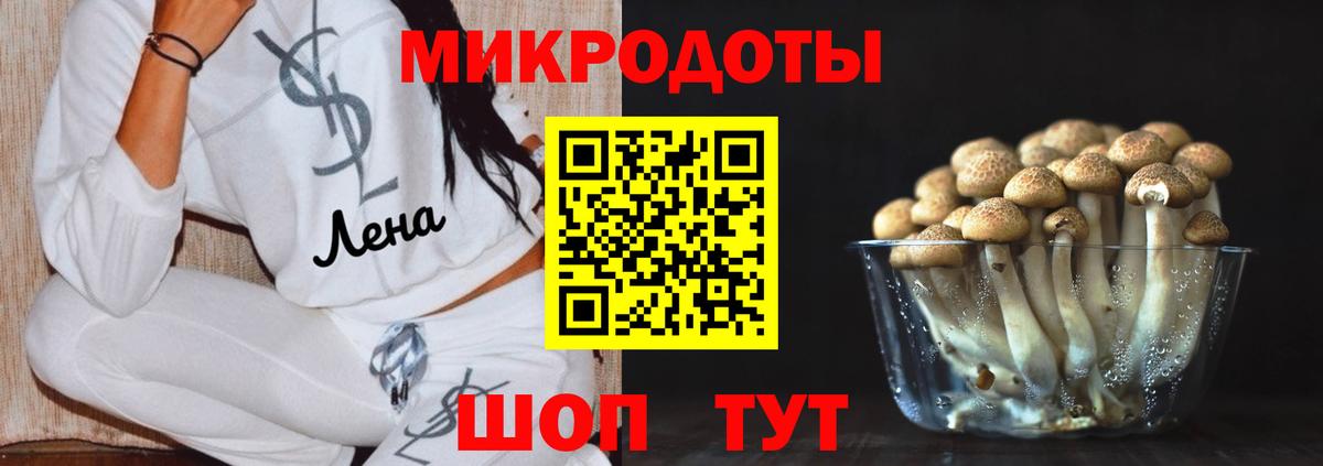 Галлюциногенные грибы GOLDEN TEACHER Протвино